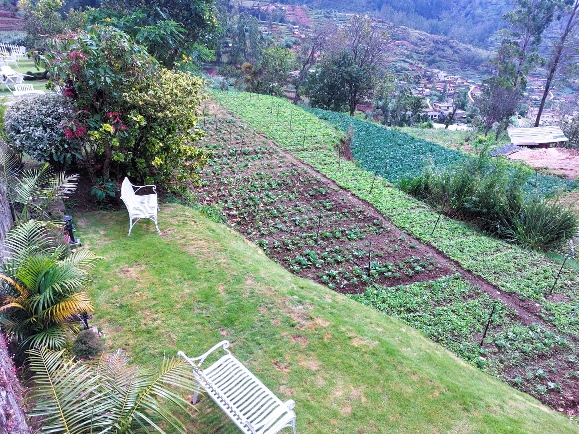 Lush hill country landscape