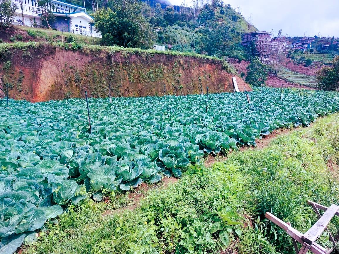 Serene nature retreat